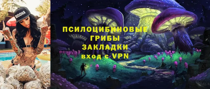 Галлюциногенные грибы MAGIC MUSHROOMS  Верхняя Пышма 